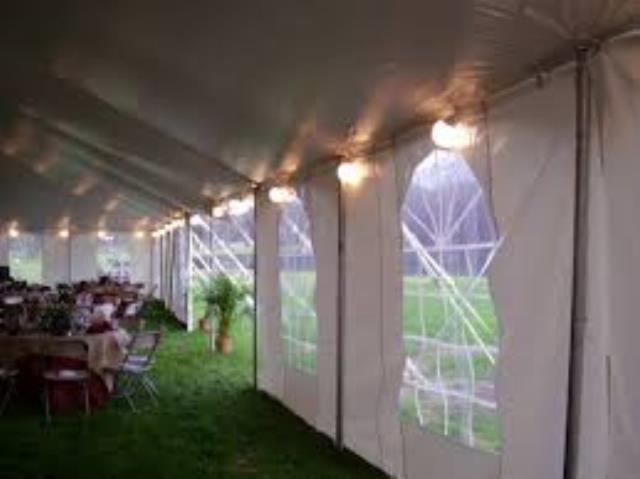 Where to find TENT LIGHTS, 8 LIGHT-SML 25-30FT in Palatine